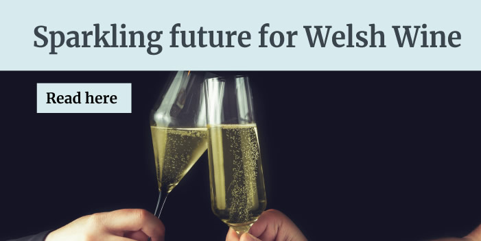 Sparkling future for Welsh Wine - Read here