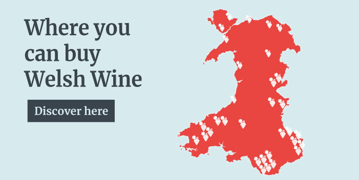 Where you can buy Welsh Wine - Discover here