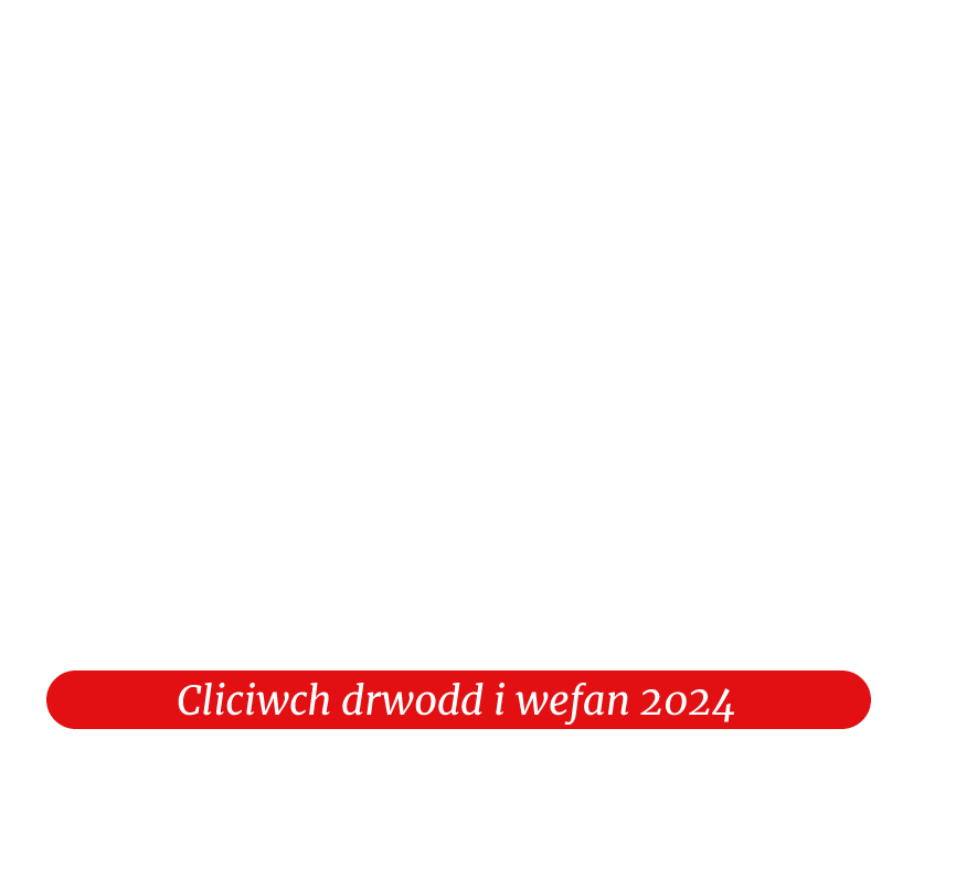 Cliciwch drwodd i wefan 2024.